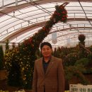 왕인박사기념관 이미지