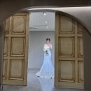 W4. 차지연웨딩👗 : 촬영드레스 피팅, 셀렉 후기