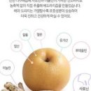 배 도라지 효능 배도라지즙 효능 만드는 법. 이미지