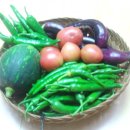 혜숙야채 이미지