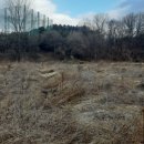 다미안의원 이미지