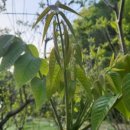 이병준농장 이미지