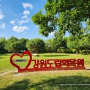 강원특별자치도산림박물관 | 춘천] 6월 산책하기 좋은 강원도립화목원(강원특별자치도립화목원) 그리고 강원특별자치도산림박물관