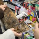 세븐일레븐 경주노서중앙점 이미지