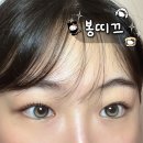 성정로 | [ 천안 ] 봉명동 속눈썹펌 잘하는곳 봉띠끄 자연스러운 컬 후기