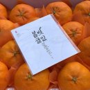 봄빛귤밭 네이버블로그