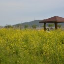 전라남도 농업박물관(운동장) 이미지