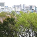 지바시 이미지