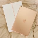 2019년 Apple iPad 애플 아이패드 10.2 7세대(골드, 실버, 스페이스 그레이)