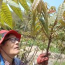 이산농장 이미지