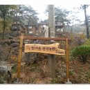 곡성산림마트 | 곡성기차마을, 펜션 여행추천에요!