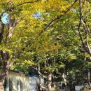 외양포경로당 이미지