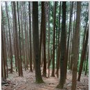 갈맷길6-2구간 이미지