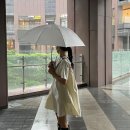 레인핏 이미지