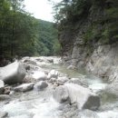 도마치벨리 Daum카페