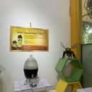 꿀벌(Honey B 이미지