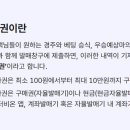 선용목장 티스토리