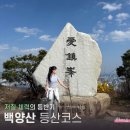 백양산막걸리 이미지