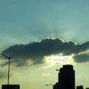 도시의 빛 이미지