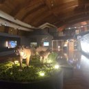 울산암각화박물관 이미지