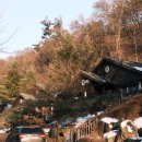 용인자연휴양림 이미지