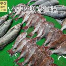 4월 13일, 자연산회(참돔회,민어회,참농어회), 한치, 풀치, 중하새우, 서대, 가자미, 눈볼대, 간재미, 아귀, 반건조(민어,참조기 이미지