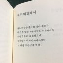 너 거쳐 닿는 제주바람은 처음이어라
