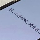 일상수집가 이미지