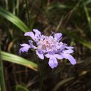 가곡초등학교(대곡분교) 이미지