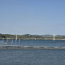 탑정호출렁다리 이미지