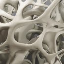 멍이랑 양이랑 이미지