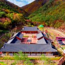 영덕웰빙문화센터 이미지