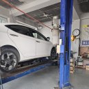 금동카프라자 이미지