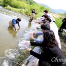 남강하천1 이미지