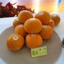 현화농장 이미지