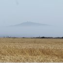 재천본가 이미지