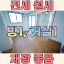 G0312 이미지