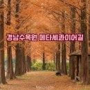 늦가을 진주 경남수목원 걷고 싶은 길 이미지