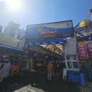 춘천막국수 | 청량리 경동시장 맛집 생활의달인 춘천막국수 혼밥 후기