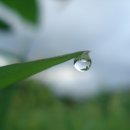 아침에풍경 이미지