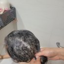 풀빛고운 | 가려움 없애주는 촉촉한 아토피 바디워시 아토달 구매후기