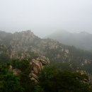 용봉산자연휴양림 이미지