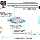 부산세관 이미지