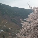 설천초등학교 이미지