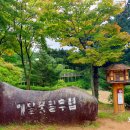 메밀꽃마을 이미지