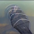 대물낚시 이미지