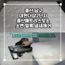 대현동물병원 | 울산매트리스청소 소변 얼룩 냄새제거 집먼지 진드기 오염 완전제거