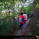 [20-11] 해외도보 21탄 - 일본 간사이 문화답사 걷기여행(상) [요시노산 치쿠린인 군뽀오(群芳園) 정원, 교토 우지 평등원(뵤도인)] 이미지