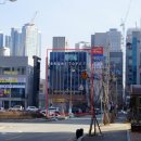 보니또펫 이미지