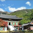 이재옥농장 이미지